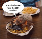 best-roaches.jpg best-roaches.jpg