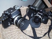 cheap nikon F's.jpg cheap nikon F's.jpg