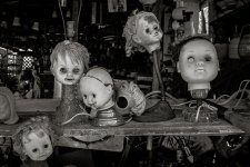IMG_0060-1-2-1-3.jpg