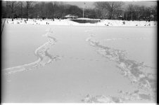 23-Snow.jpg 23-Snow.jpg
