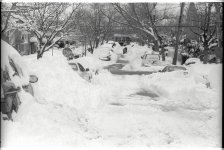 12-Snow.jpg 12-Snow.jpg