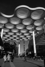 L1010010.jpg