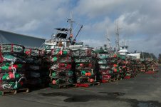 Click image for larger version  Name:	Crab Pots.JPG Views:	0 Size:	342.9 KB ID:	4779348