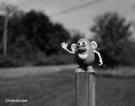Mr Potato Head Hits The Road.jpg