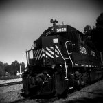 TrainDuoflex02.jpg