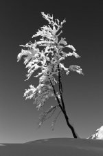 L1002882_1 (1) .jpg