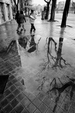 med_U82040.1651742158.0.jpg