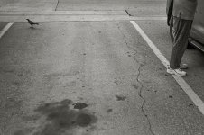 LS4_0016-1-1.jpg