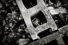 XP2C0010-1-2.jpg