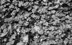 6D4496EB-EDE0-4A65-BBBC-2DD0746367FA.jpeg 6D4496EB-EDE0-4A65-BBBC-2DD0746367FA.jpeg