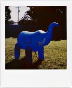 polaroid-5-30-22-elephant.jpg polaroid-5-30-22-elephant.jpg