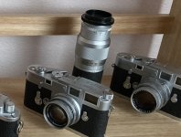 D5078E77-D8CA-4072-B153-6E97AF96C8DA.jpg D5078E77-D8CA-4072-B153-6E97AF96C8DA.jpg