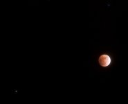 moon1.jpg