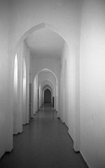 img040 (2).jpg