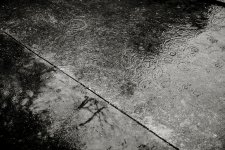 _LS10008-1-1.jpg