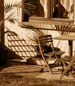 PalmChairs.jpg