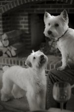 Click image for larger version Name: _XPA0041-1.jpg Views: 0 Size: 103.6 KB ID: 4807637 Click image for larger version Name: _XPA0041-1.jpg Views: 0 Size: 103.6 KB ID: 4807637