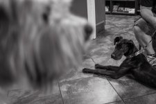 _X1S0011.ixt-1-1-1.jpg