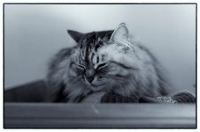DSC_0037.jpg