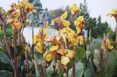 Img003.JPG