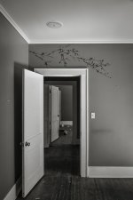 _LS10021-1-2-1.jpg