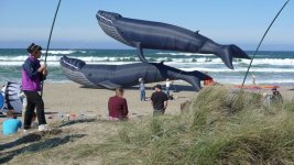 Click image for larger version Name: Lincoln City 10:13 & M2 - 35.jpg Views: 0 Size: 255.0 KB ID: 4775523 Click image for larger version Name: Lincoln City 10:13 & M2 - 35.jpg Views: 0 Size: 255.0 KB ID: 4775523