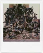 polaroid-7-11-22-saintjoe-1.jpg polaroid-7-11-22-saintjoe-1.jpg