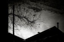 _LS50003-1-2.jpg
