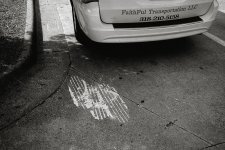 XP2B0018-1-2.jpg