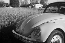 Click image for larger version Name: LeicaIIIf-Roll80-APX100 (34) - FINAL EDIT.jpg Views: 0 Size: 242.5 KB ID: 4781251 Click image for larger version Name: LeicaIIIf-Roll80-APX100 (34) - FINAL EDIT.jpg Views: 0 Size: 242.5 KB ID: 4781251