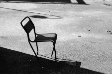 med_U73354.1650575559.0.jpg
