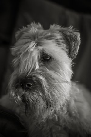 LSZ_0023-Edit-2.jpg