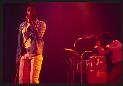 3 1975 10P #37   2018.1112-0134 Jimmy Cliff & percussionist Ektachrome ~ DUP3 copy4RFF 1600x.jpeg