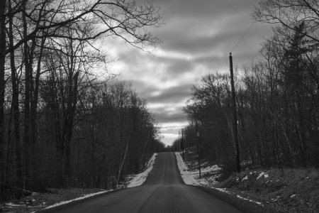 DSC_2170.jpg