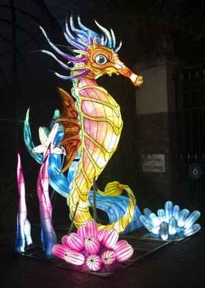 Aqua Luna Ouwehand Rhenen  (4).jpg