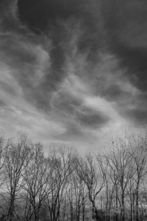 E806D3EE-45AA-4AE7-9EF6-931D84F8F35D.jpeg