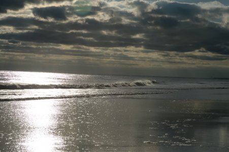 DSC_3917.jpg