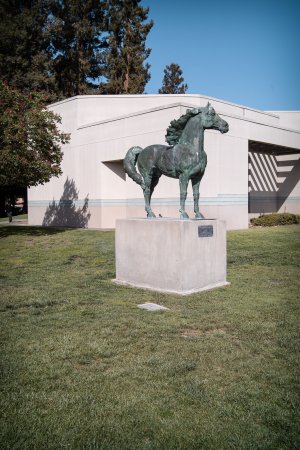 081-bronzehorse.jpg