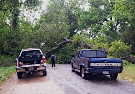 Oak Down-1.jpg