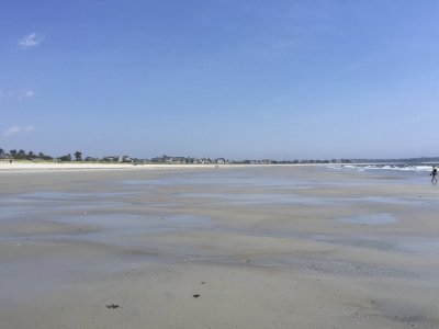 4   2015 0528   iP6+:IMG_2618 OldOrchardBeach DUP2 copy4RFF Photos2 1700x.jpeg
