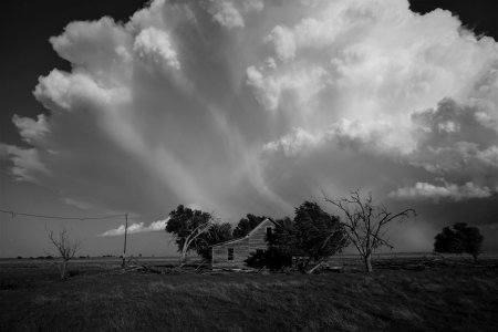 Texas grasslands .jpg
