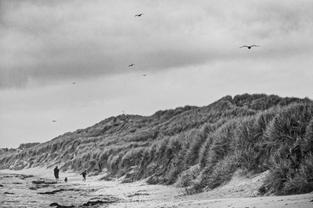 20220816_MRTOML__DSF1566_DxO.jpg