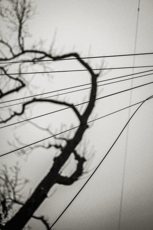 _LS50018-1-Edit.jpg