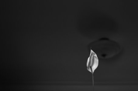 L6002996.jpg