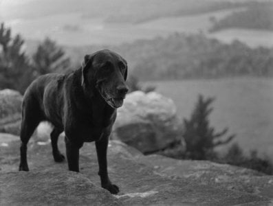 Pearl-FP4-510-Pyro2.jpg Pearl-FP4-510-Pyro2.jpg