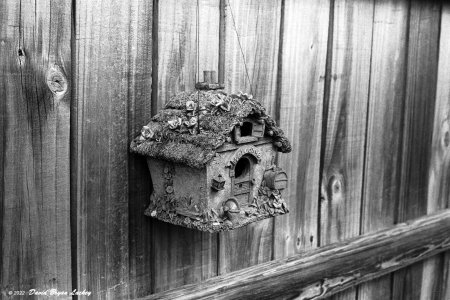 Sept Around the House Nikkormat FTN 20 XX 2022.jpeg Sept Around the House Nikkormat FTN 20 XX 2022.jpeg