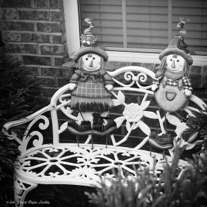 Aug:Sept Around the House and Garden 25 Nikkormat FTN XX 2022.jpeg Aug:Sept Around the House and Garden 25 Nikkormat FTN XX 2022.jpeg