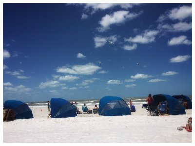 Guys, Gals, Gulls, Clearwater Beach, Florida 2017.jpg