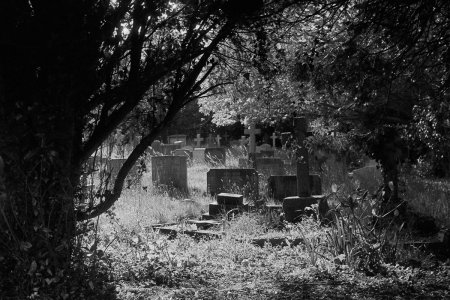 Leica IIIg - Roll 22 - Foma 100 - Rodinal (12).jpg Leica IIIg - Roll 22 - Foma 100 - Rodinal (12).jpg