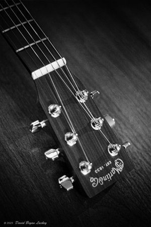 Martin Headstock Low Key by F80 5222 DD-X July 2023.jpeg